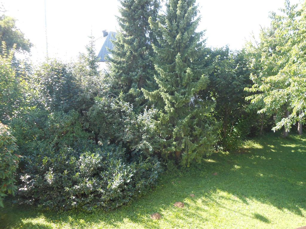 Sound Apartma Eva Daire Radovljica Dış mekan fotoğraf